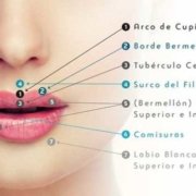 Tratamientos estéticos para labios