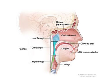 Tratamiento tumores cabeza y cuello